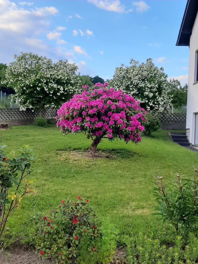 Ferienwohnung Fuelbier Oberzissen Exterior foto